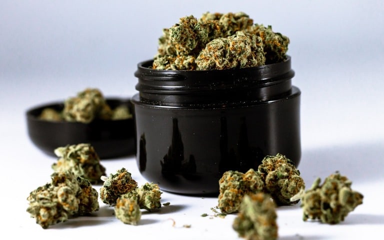 best Kush cannabis strains